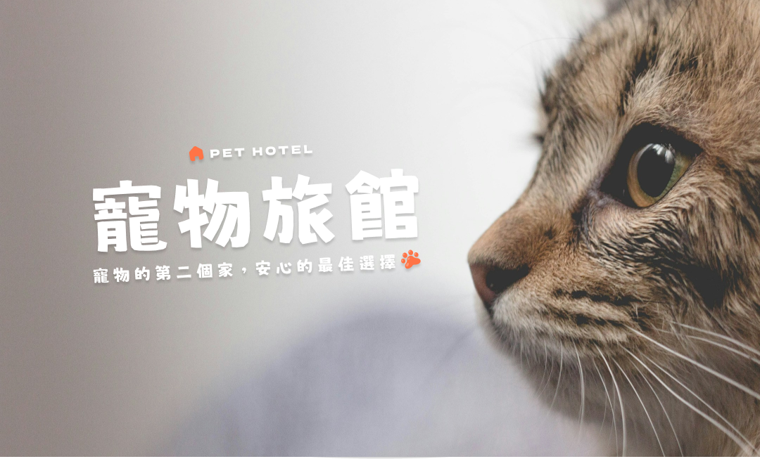 貓啃什錦黑